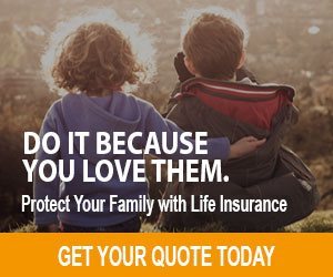 Term Life Insurance Quote