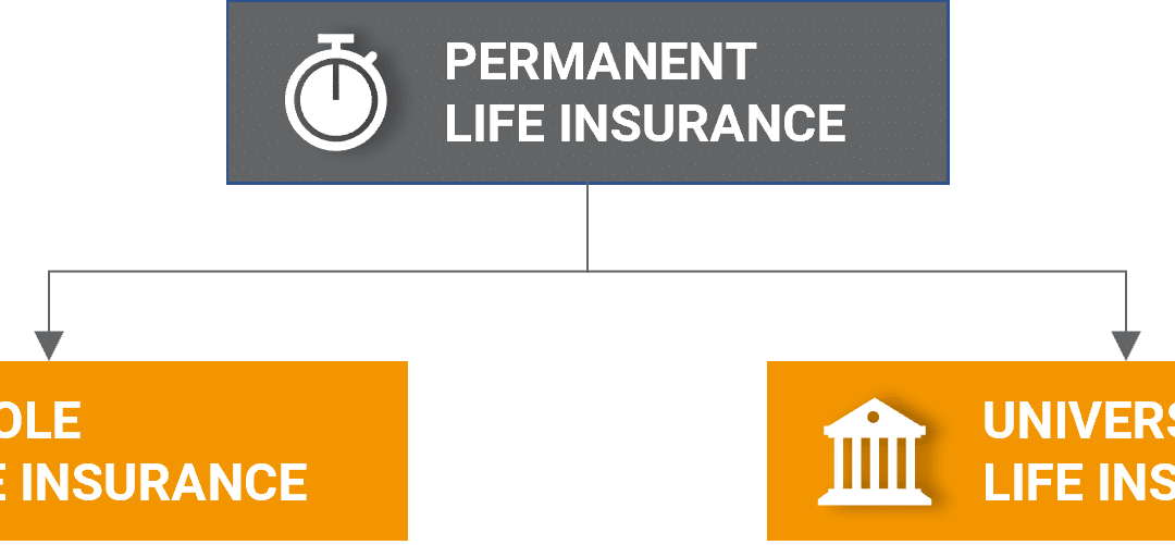 Type of Permanent Life insurance Policies | Mericle & Co.